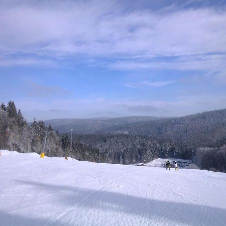 Apartment In Schnett Near The Ski Area المظهر الخارجي الصورة
